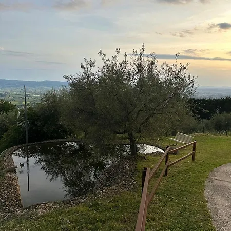 With Hot Tub Near Asís