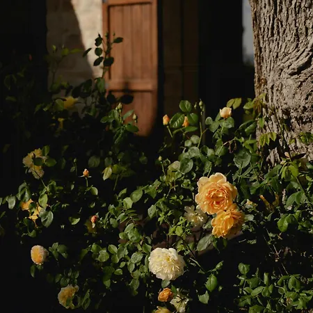 بيت للعطل With Hot Tub Near